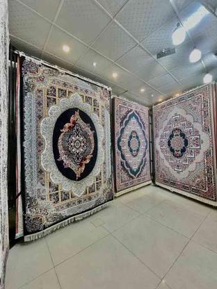 فرش 700شانه تمام نخ ضمانت دار عالی در گروه خرید و فروش لوازم خانگی در تهران در شیپور-عکس1