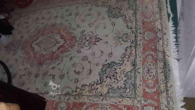 فرش 6متری سالم در گروه خرید و فروش لوازم خانگی در خراسان شمالی در شیپور-عکس1