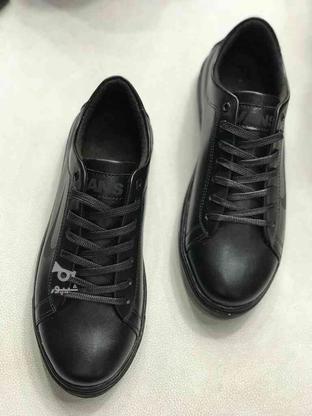 کفش کتونی نو تک و سایز مردانه در گروه خرید و فروش لوازم شخصی در مازندران در شیپور-عکس1
