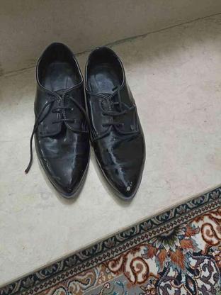 کفش نو دو جفت در گروه خرید و فروش لوازم شخصی در خراسان رضوی در شیپور-عکس1