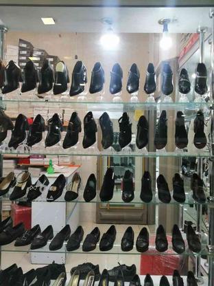 ویترین مغازه در گروه خرید و فروش صنعتی، اداری و تجاری در اصفهان در شیپور-عکس1