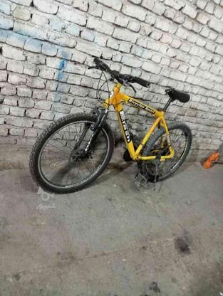 دوچرخه فلش سالم ترمز دیسکی در گروه خرید و فروش ورزش فرهنگ فراغت در خراسان رضوی در شیپور-عکس1