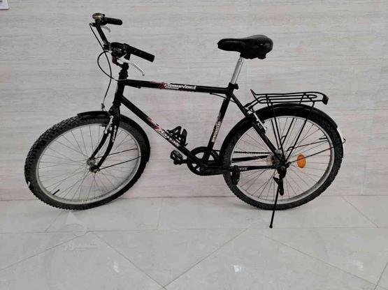 دوچرخه 26 دماوند آساک در گروه خرید و فروش ورزش فرهنگ فراغت در گلستان در شیپور-عکس1