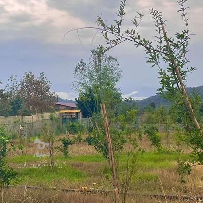 فروش زمین 150 متر در دشت سر در گروه خرید و فروش املاک در مازندران در شیپور-عکس1