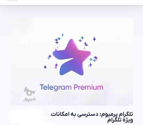 تیک آبی پرمیوم تلگرام با شماره ایران در گروه خرید و فروش خدمات و کسب و کار در تهران در شیپور-عکس1
