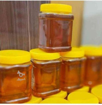 عسل طبیعی بهارنارنج به شرط در گروه خرید و فروش خدمات و کسب و کار در مازندران در شیپور-عکس1