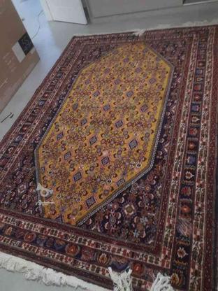 فرش دستباف 6 متری در گروه خرید و فروش لوازم خانگی در فارس در شیپور-عکس1