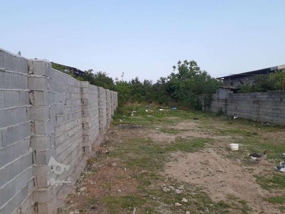 یک قطعه زمین باغی340 متر در گروه خرید و فروش املاک در مازندران در شیپور-عکس1
