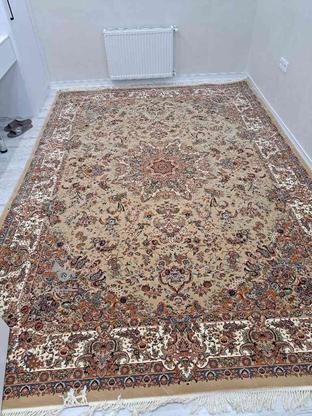 فرش 700 شانه قالی سلیمان در گروه خرید و فروش لوازم خانگی در اصفهان در شیپور-عکس1