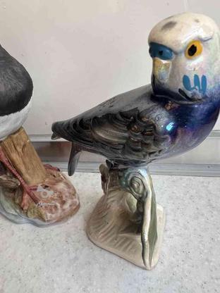 مجسمه پرنده اروپایی در گروه خرید و فروش لوازم خانگی در تهران در شیپور-عکس1
