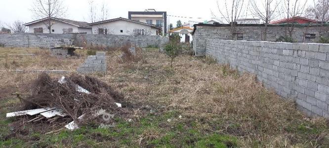 فروش زمین دارای بافت مسکونی در گروه خرید و فروش املاک در مازندران در شیپور-عکس1