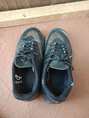 کفش چمن 43 در گروه خرید و فروش ورزش فرهنگ فراغت در خراسان رضوی در شیپور-عکس1