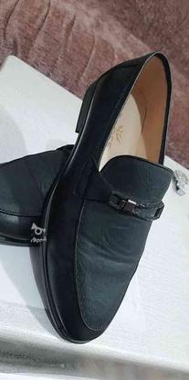 کفش ملی سایز 43 در گروه خرید و فروش لوازم شخصی در اردبیل در شیپور-عکس1