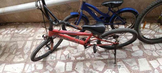 دوچرخه سالم سایز 20 در گروه خرید و فروش ورزش فرهنگ فراغت در مازندران در شیپور-عکس1