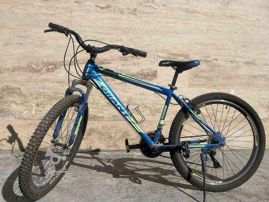 دوچرخه سایز 26 در گروه خرید و فروش ورزش فرهنگ فراغت در کردستان در شیپور-عکس1