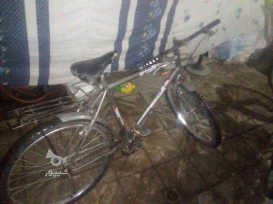 سلام دوچرخه ساده 26 در گروه خرید و فروش ورزش فرهنگ فراغت در خراسان رضوی در شیپور-عکس1