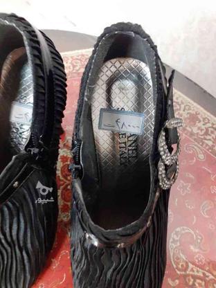 کفش مجلسی برند در گروه خرید و فروش لوازم شخصی در اردبیل در شیپور-عکس1