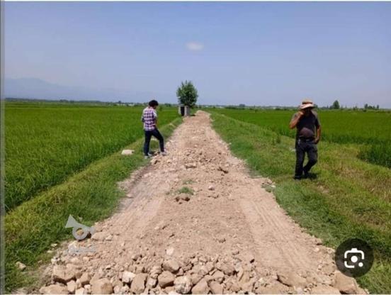 زمین کشاورزی ترک کلا با موقعیت عالی نزدیک شهر در گروه خرید و فروش املاک در مازندران در شیپور-عکس1