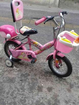 دوچرخه سایز 12 دخترونه با لوازم نو نو در گروه خرید و فروش ورزش فرهنگ فراغت در مازندران در شیپور-عکس1