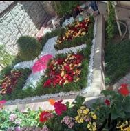 خدمات باغبانی گلکاری طراحی باغچه هرس سمپاشی تعویض خاک گلدان