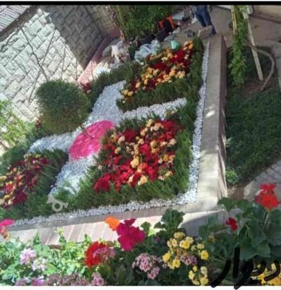 خدمات باغبانی گلکاری طراحی باغچه هرس سمپاشی تعویض خاک گلدان در گروه خرید و فروش خدمات و کسب و کار در تهران در شیپور-عکس1