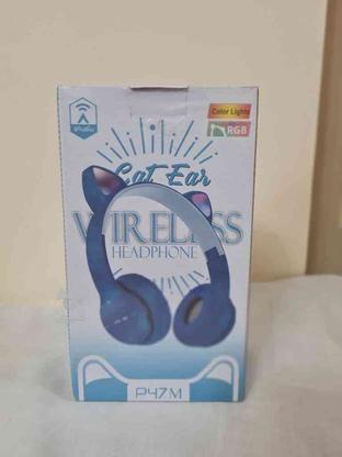 هدفون بی سیم CAT EAR در گروه خرید و فروش موبایل، تبلت و لوازم در آذربایجان شرقی در شیپور-عکس1