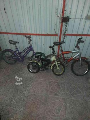 دوچرخه12و14 در گروه خرید و فروش ورزش فرهنگ فراغت در همدان در شیپور-عکس1
