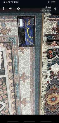 فرش 9متری 700 شانه نگین مشهد در گروه خرید و فروش لوازم خانگی در البرز در شیپور-عکس1