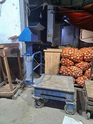 ترازوی باسکول 600کیلویی در گروه خرید و فروش صنعتی، اداری و تجاری در گیلان در شیپور-عکس1