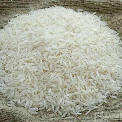 فروش فوری برنج طارم هاشمی درجه یک در گروه خرید و فروش خدمات و کسب و کار در مازندران در شیپور-عکس1