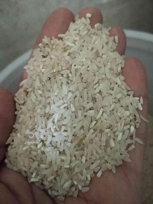 برنج نیم دانه لاشه در گروه خرید و فروش خدمات و کسب و کار در مازندران در شیپور-عکس1