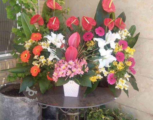 فروش فوری سبد گل در گروه خرید و فروش لوازم شخصی در تهران در شیپور-عکس1