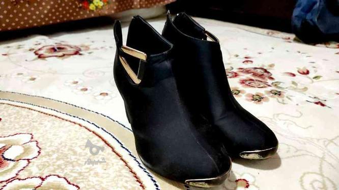 کفش پاشنه دار مجلسی در گروه خرید و فروش لوازم شخصی در سمنان در شیپور-عکس1