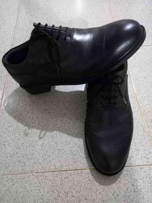 کفش چرم اصل مردانه 40 سالم در گروه خرید و فروش لوازم شخصی در گلستان در شیپور-عکس1