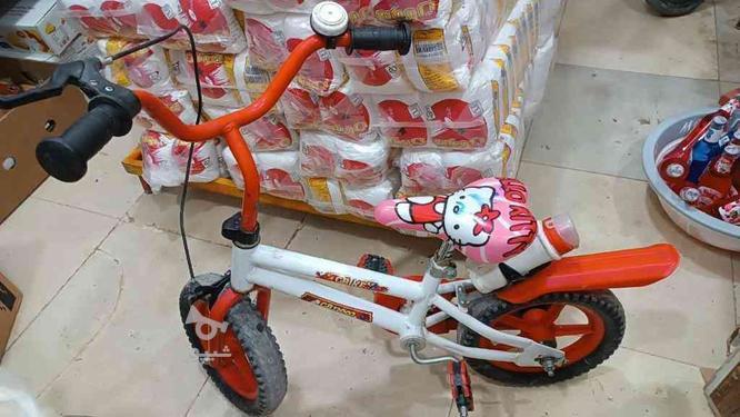 دوچرخه 14کوچک در گروه خرید و فروش ورزش فرهنگ فراغت در کرمان در شیپور-عکس1