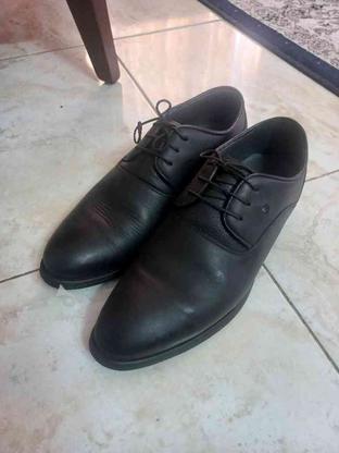 کفش مردانه نو در گروه خرید و فروش لوازم شخصی در گیلان در شیپور-عکس1