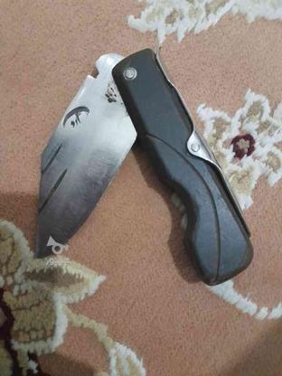 چاقو خوش دست در گروه خرید و فروش ورزش فرهنگ فراغت در تهران در شیپور-عکس1