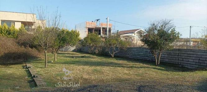 فروش زمین مسکونی 230 متر در کلوده در گروه خرید و فروش املاک در مازندران در شیپور-عکس1