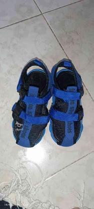 کفش بچگانه اسپرت در گروه خرید و فروش لوازم شخصی در گلستان در شیپور-عکس1