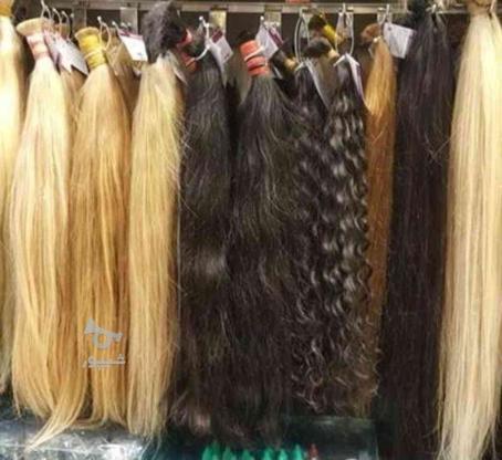 خریدار موی طبیعی 40 سانت به بالا به بالاترین قیمت در گروه خرید و فروش لوازم شخصی در تهران در شیپور-عکس1