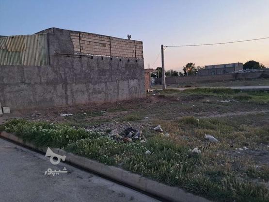 زمین مسکونی بامجوز ساخت در گروه خرید و فروش املاک در قزوین در شیپور-عکس1