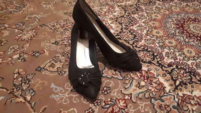 کفش مخملی سالم در گروه خرید و فروش لوازم شخصی در کرمانشاه در شیپور-عکس1