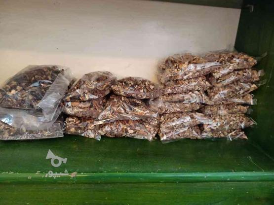 انواع گردو و بادام و خشکبار در گروه خرید و فروش خدمات و کسب و کار در مازندران در شیپور-عکس1