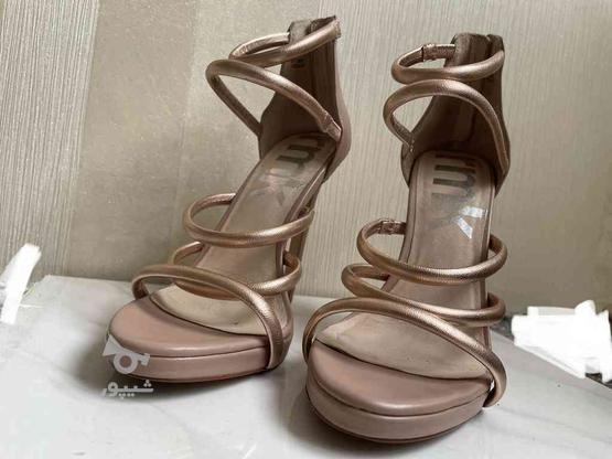 کفش مجلسی برند rmk سایز 37 در گروه خرید و فروش لوازم شخصی در اردبیل در شیپور-عکس1