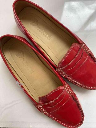کفش کالج ترک برند dornika سایز 37 در گروه خرید و فروش لوازم شخصی در اردبیل در شیپور-عکس1