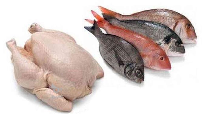 نظافتچی مغازه مرغ و ماهی در گروه خرید و فروش استخدام در چهارمحال و بختیاری در شیپور-عکس1