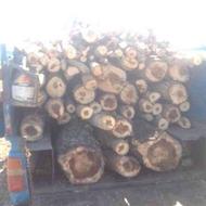 خرید چوب آلات باغی قیمت به روز