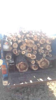 خرید چوب آلات باغی قیمت به روز در گروه خرید و فروش خدمات و کسب و کار در سمنان در شیپور-عکس1