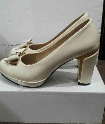 کفش مجلسی شیری سایز40 در گروه خرید و فروش لوازم شخصی در گیلان در شیپور-عکس1