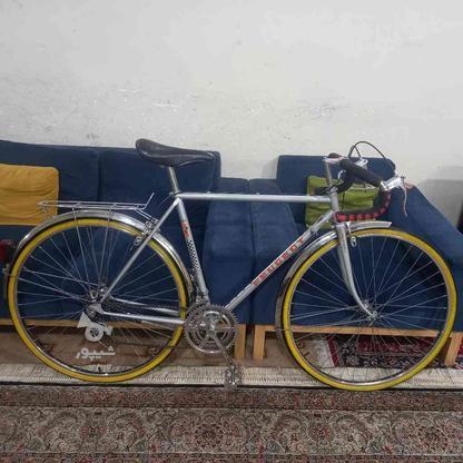 دوچرخه کورسی پژو فرانسوی در گروه خرید و فروش ورزش فرهنگ فراغت در فارس در شیپور-عکس1